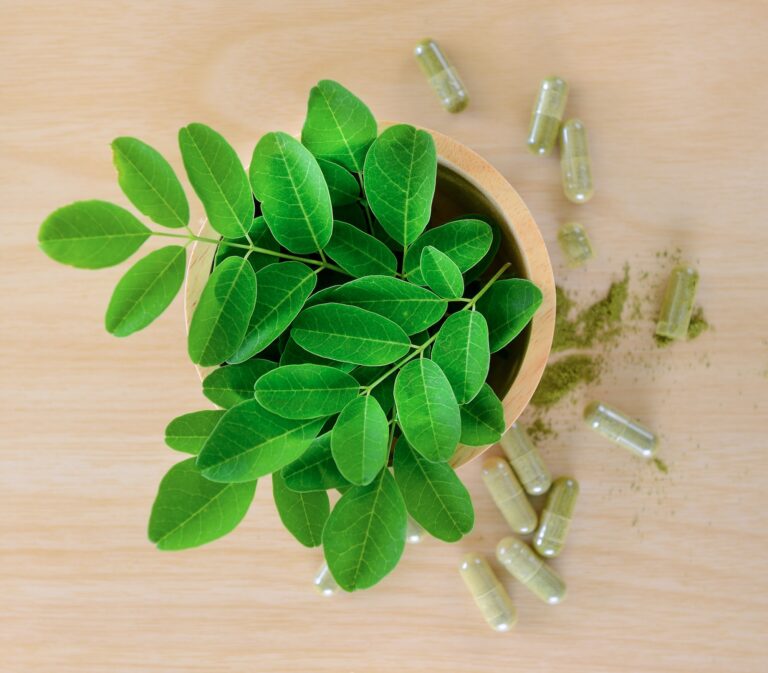 Moringa oleifera