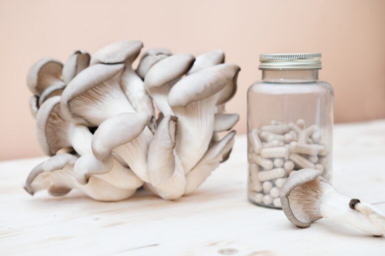 mushroom supplement capsules